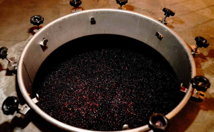 Wine grapes in a large metal bin on a wooden floor