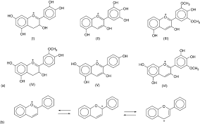 Anthocyanins Skeletal Formula